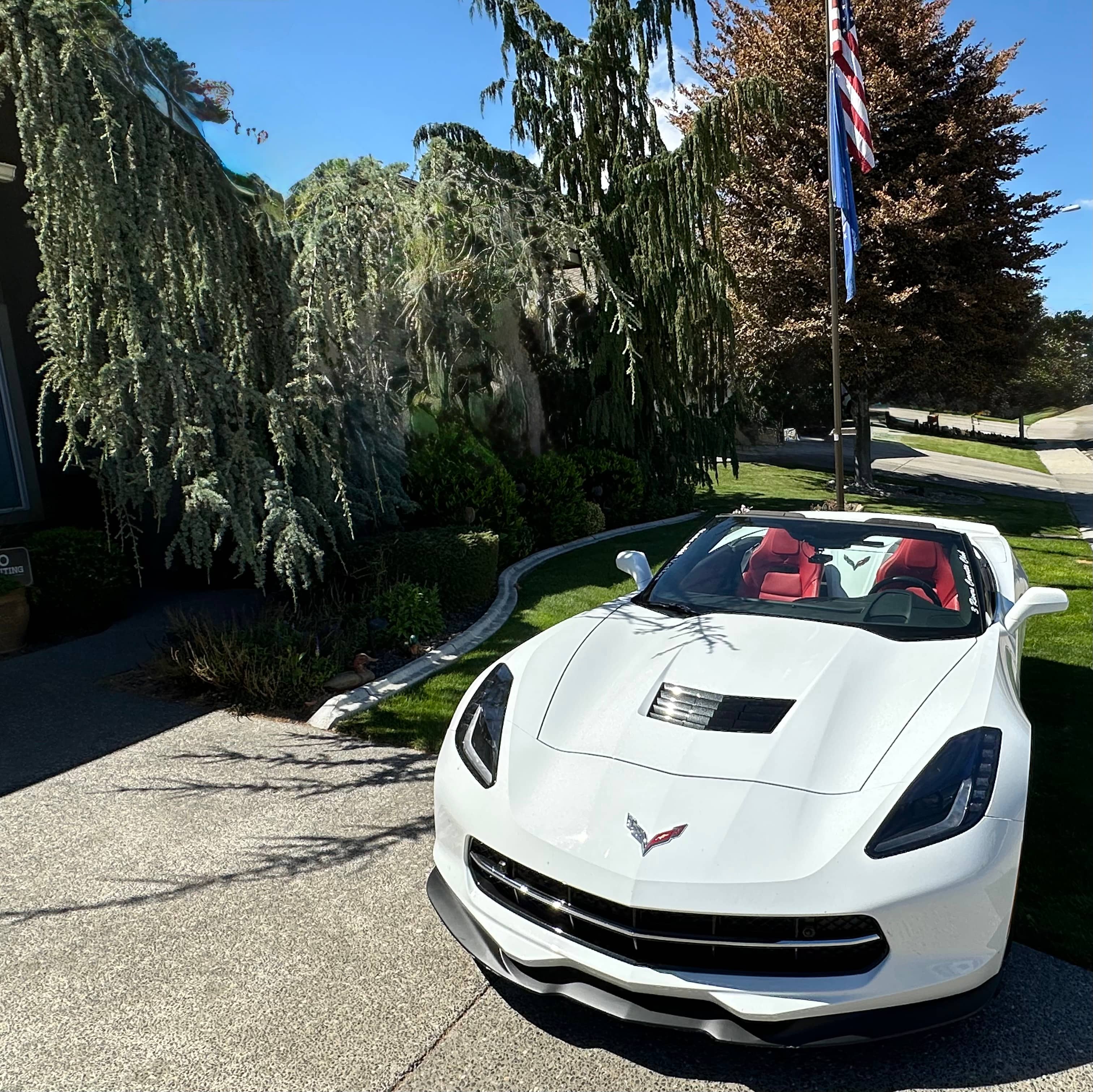 John Scheer's museum cover photo